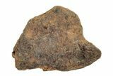 Agoudal Iron Meteorites (2-4 grams) - Morocco - Photo 3